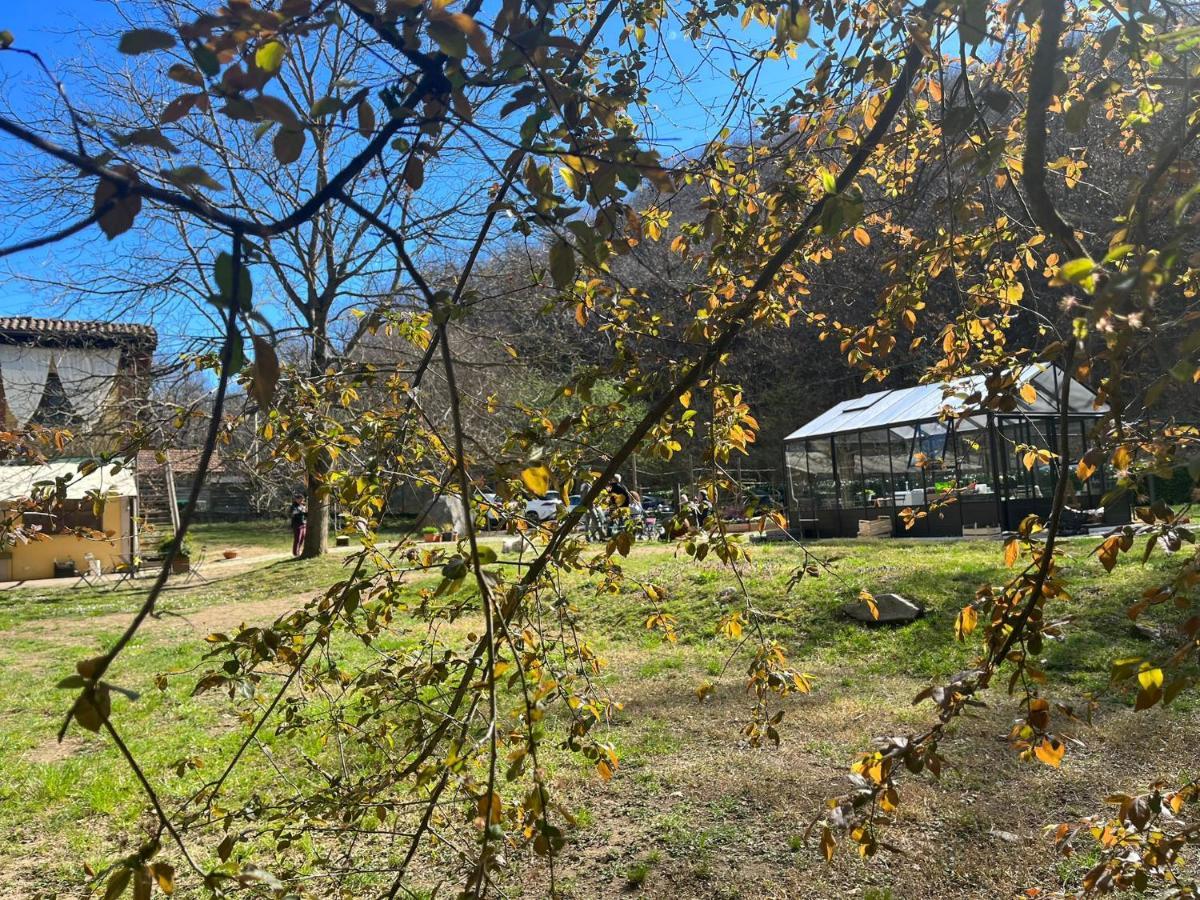 Agriturismo Biomatto Arona Zewnętrze zdjęcie