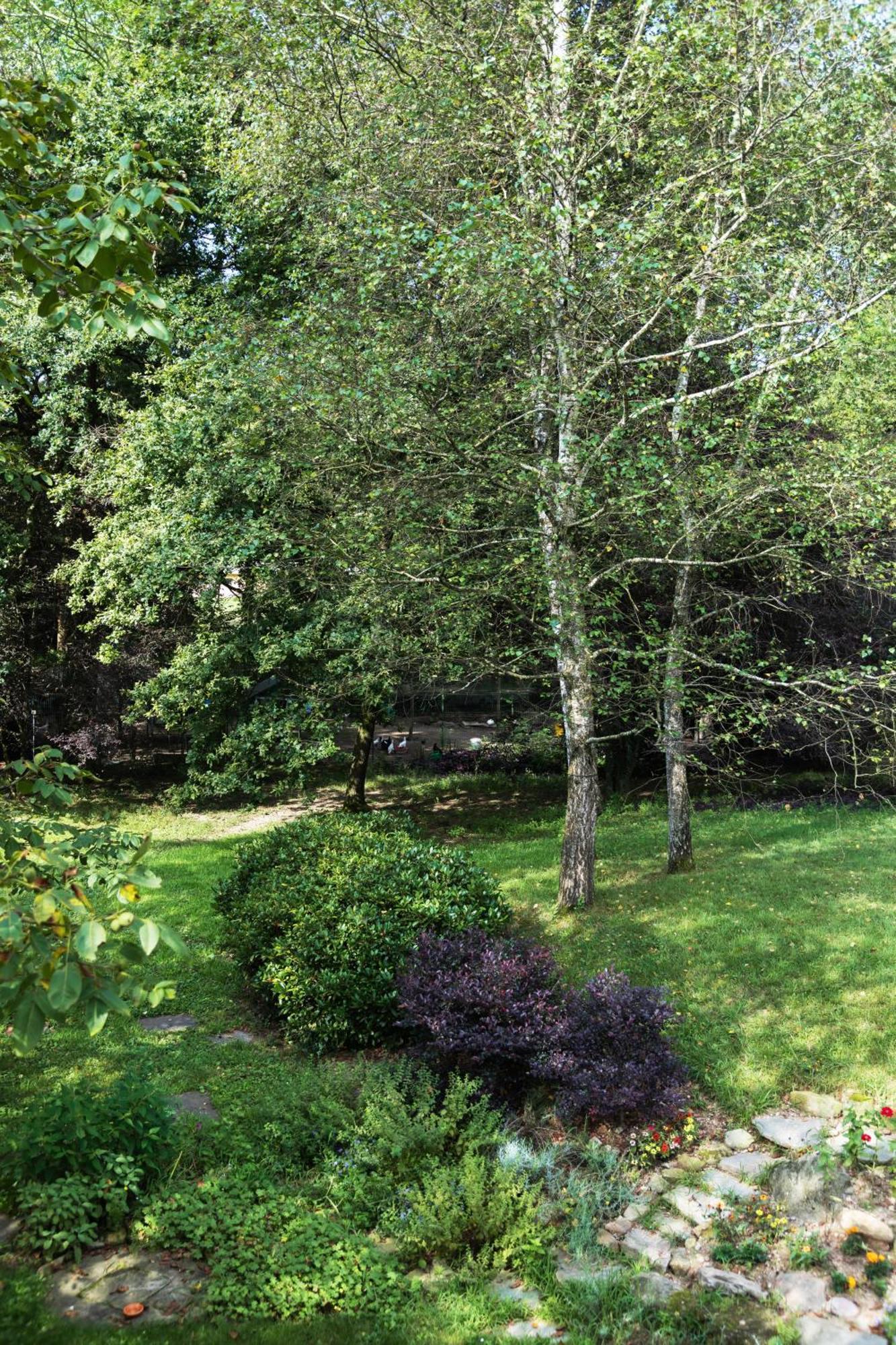 Agriturismo Biomatto Arona Zewnętrze zdjęcie