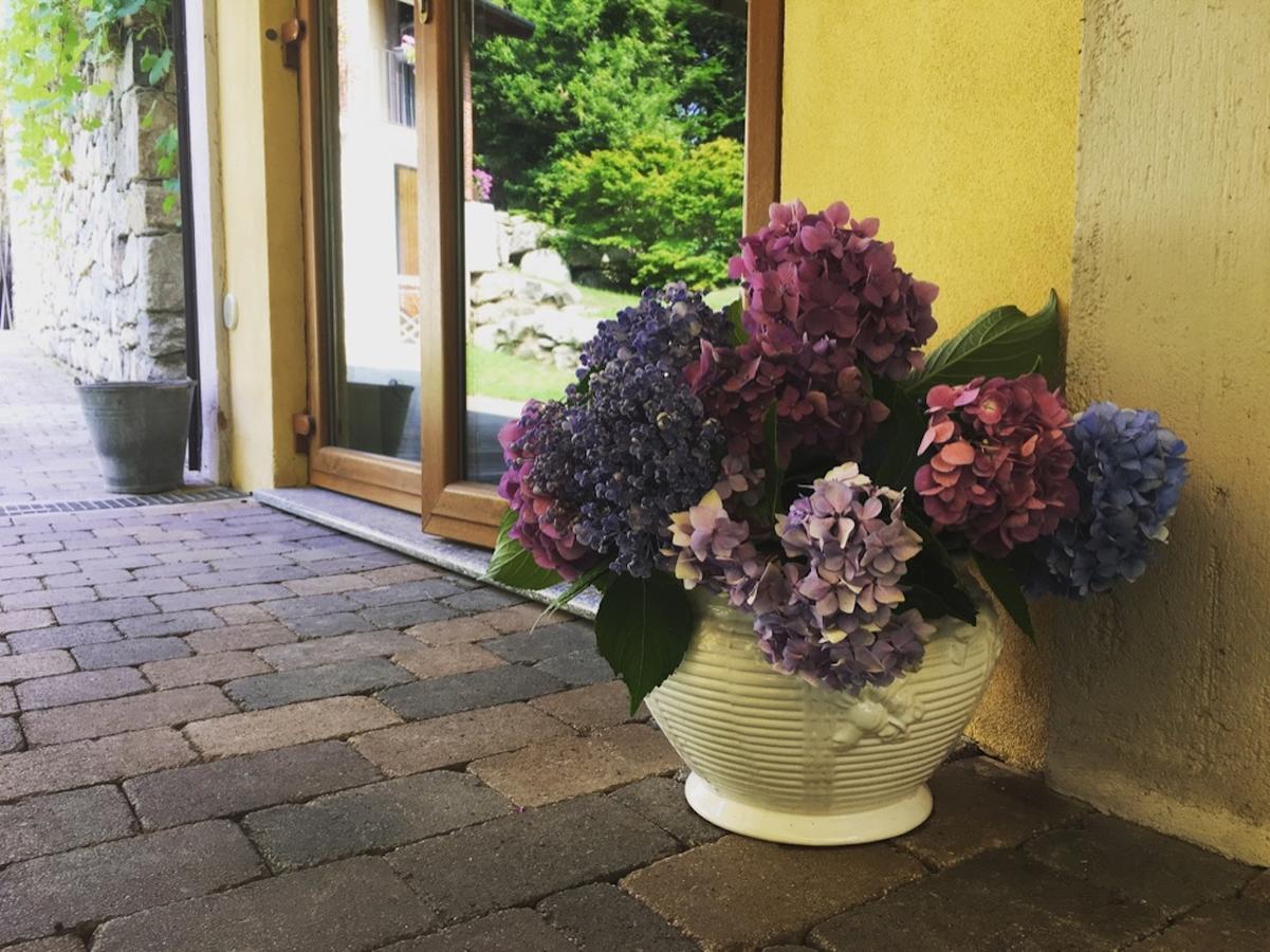 Agriturismo Biomatto Arona Zewnętrze zdjęcie